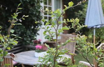 Altes Schulhaus in der Lüneburger Heide - Photo 27