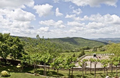 Montelucci Country Resort & Agriturismo di Charme - Foto 46