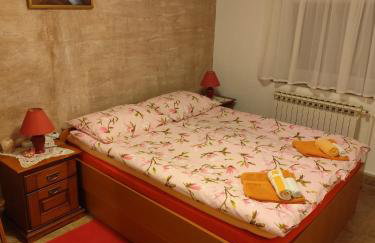 Apartments for families with children Hreljin Ogulinski, Gorski kotar - 24798 - Foto 17