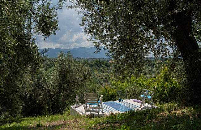 Olive Grove Sabina - Foto 40