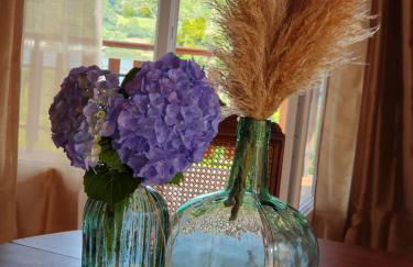 Les mimosas du Lac Vue panoramique sur le lac - Foto 14