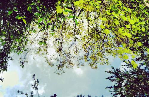 Les Valletes - Foto 63