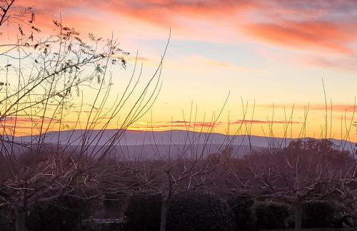 Villa Tilia - Photo 9