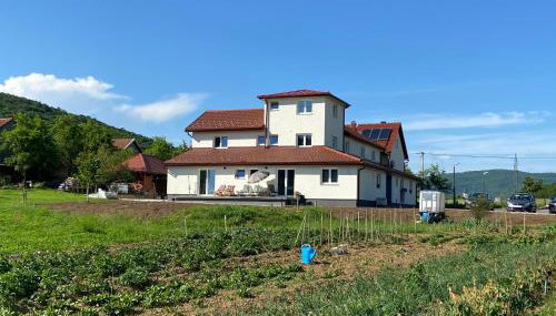 Apartman Fenestra s terasom i pogledom na Gacku - Foto 4, Garden