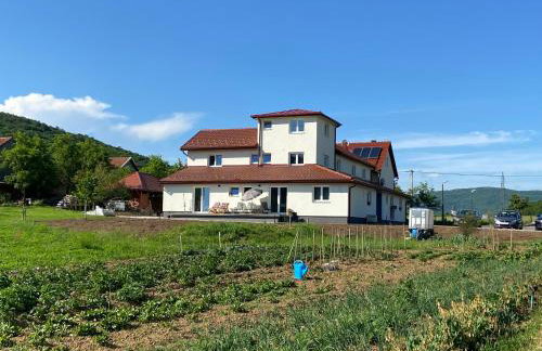 Apartman Fenestra s terasom i pogledom na Gacku - Foto 4