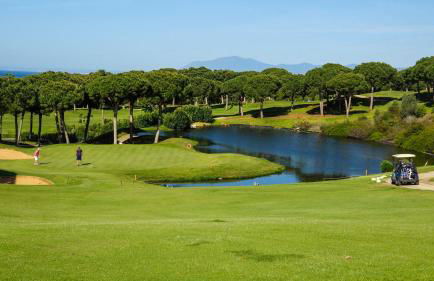Seaside Golf haven in Cabopino Marbella - Photo 21