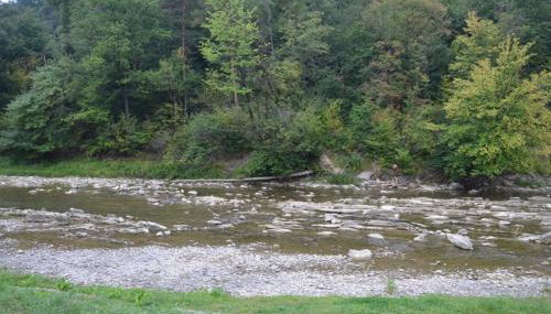 Pod Orzechem - Photo 5