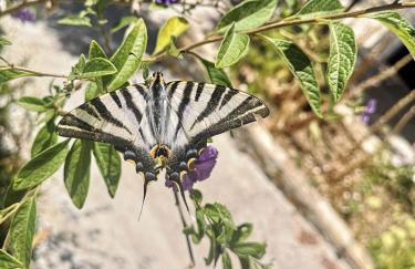 Hacienda el Mirador - Foto 11