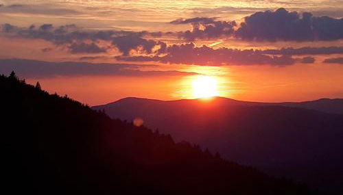 Ferienapartment 38 Sonnenwald - Photo 2