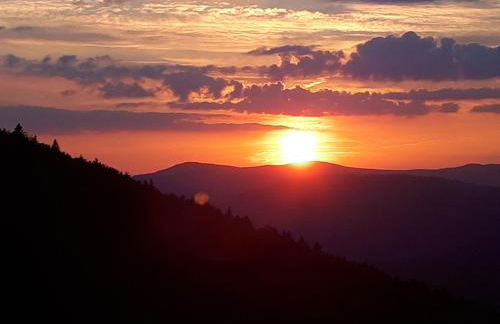 Ferienapartment 38 Sonnenwald - Foto 2