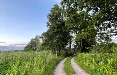 Tiny House - Osada Wilkasy - Foto 63