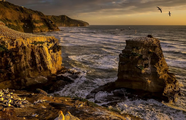 Sunset Capital Of The World - Photo 19