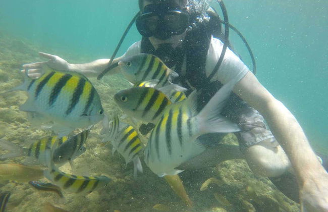 Morro de São Paulo Diving Introuction - Photo 3