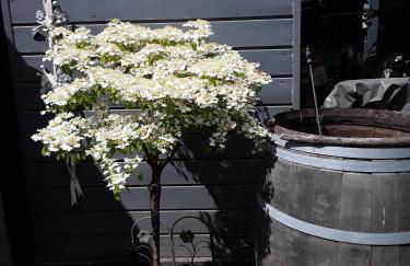 dat olde Köhlhus - Foto 22