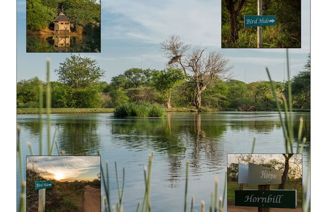 The Dreamcatcher Lodge - Photo 23