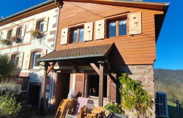 Maison pittoresque à Sainte-Croix-aux-Mines, vue sur la montagne - Foto 41