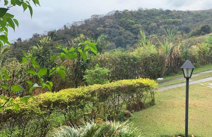 Vale das Estrelas - vale das videiras - araras - Foto 35