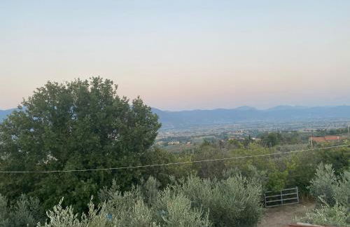 Agriturismo Casa Orsini - Foto 44