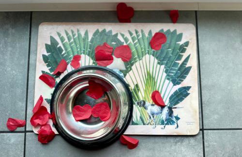 Dom nad jeziorem Miedwie, Zieleniewo - Foto 31