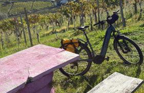 appartement Barbera - Foto 35