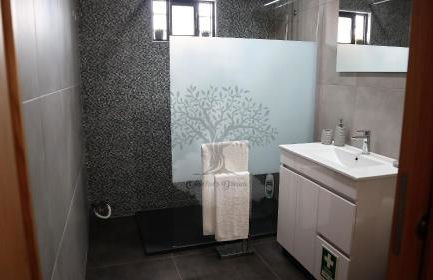 Oliveira's Dream - Stay Good, Feel Good - Foto 12