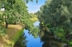 Zur Zitadelle - Foto 17