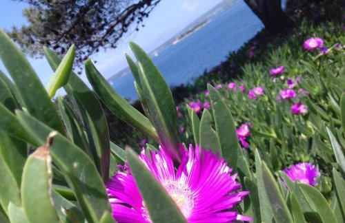 Seafront house Šolta - Foto 27