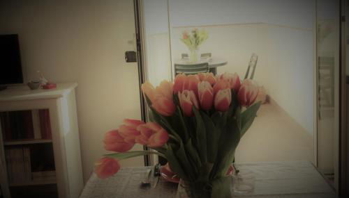 City View Living - Foto 2