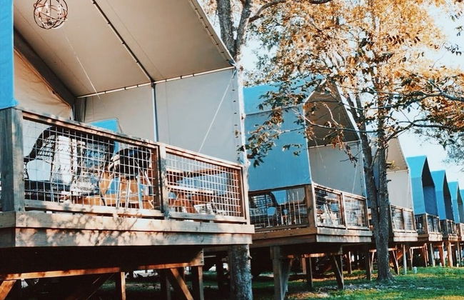 5 Son's Geronimo - Birdhouse Cabin - Foto 66