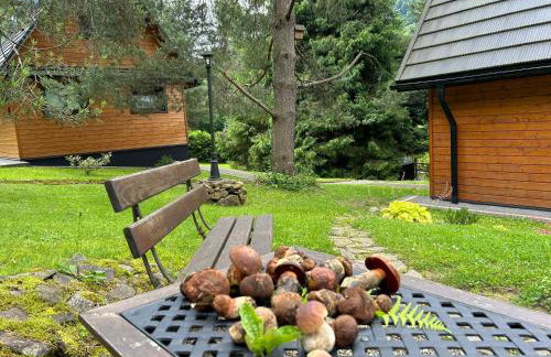 Reset Bieszczady - Foto 9