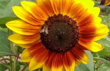 Mazurski Staw - Foto 65