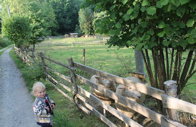 Former Parsonage in Western Bohemia - Foto 27