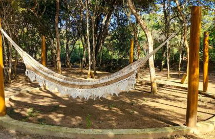 Sítio Wida Feliz - Foto 37