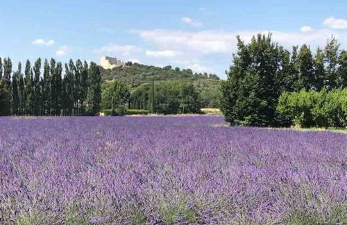 Loft en campagne proche de l’Isle sur Sorgue - Foto 17