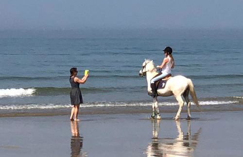 Loriot1- Appartement vue mer sur le fort bloqué ploemeur - Foto 12