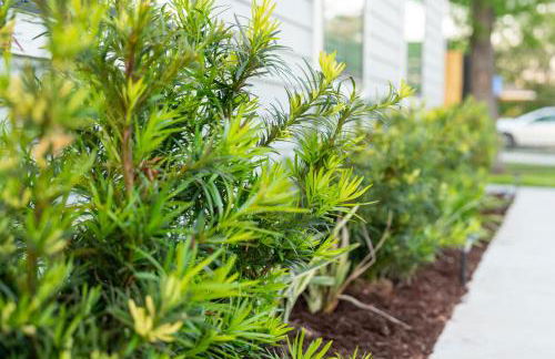 The Blue Heron Haven - Foto 56