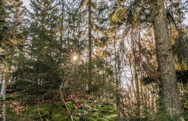 Chic Apartment in Thuringia With Sauna - Foto 73