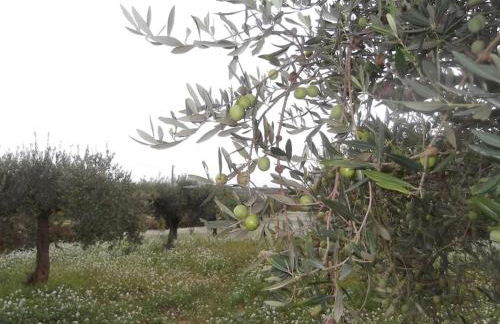 Siculiana Marina - oasi wwf - Foto 23