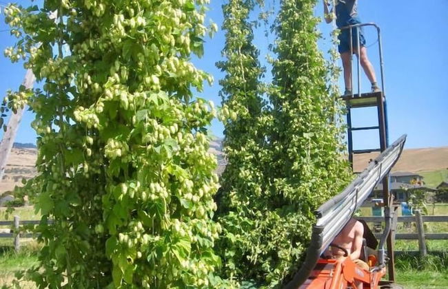 Hopyard View Farm - A Farm Experience in Ashland - Foto 24