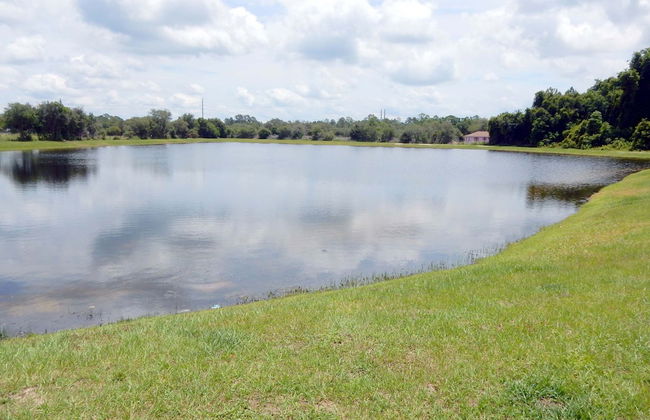 Tree Top Retreat - Foto 33