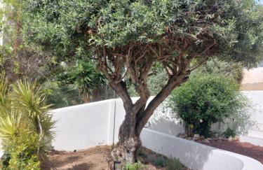 Casa Maruja - Foto 37