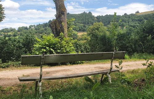 Gîte charmant avec terrasse et wifi au Puy-en-Velay - FR-1-582-331 - Foto 8
