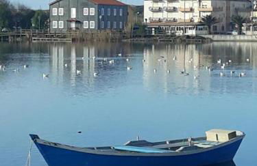 Bela Vista Barrinha - Foto 24