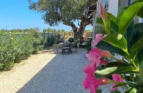 Villa Concetta, piscine privée entre mer et montagne - Abruzzes - Foto 12