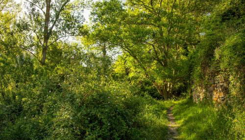 Casa Rural El Huerto de la Fragua - Foto 5