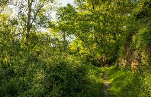 Casa Rural El Huerto de la Fragua - Foto 5