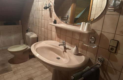 Blick auf den Rhein - Foto 37