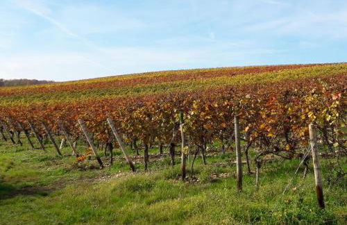 Casa Kühn - Foto 21