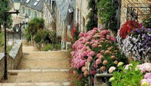 Maison du martin pêcheur à Lannion - Photo 2