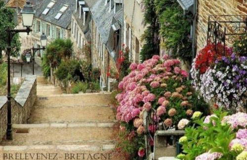 Maison du martin pêcheur à Lannion - Photo 2